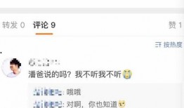 潘伟博最新爆料消息视频,事件真相与幕后黑幕