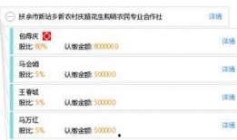 扶余市新站最新爆料,揭秘新站发展新篇章”