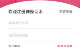 新闻爆料话术大全最新,掌握舆论风向，轻松驾驭信息传播