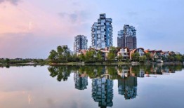 雍湖社区爆料事件最新,最新事件追踪，真相渐浮水面