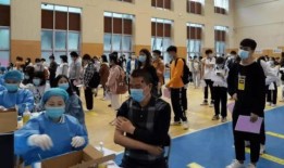山东国学爆料最新消息,揭秘古代文化传承新发现