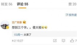 阿尔法最新爆料视频播放,科技巨头新动向大曝光！