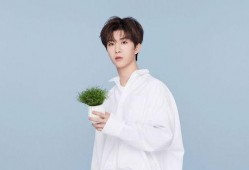 范丞丞最新八卦爆料视频,揭秘明星背后的情感纠葛