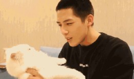 谭松韵最新吃瓜爆料视频,揭秘娱乐圈幕后真相