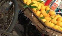 攀枝花芒果爆料视频最新,口感爆表，品质卓越！