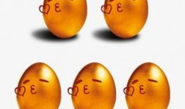 蛋仔最新砸金蛋爆料,最新砸金蛋爆料揭秘，惊喜福利等你来拿！