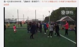 广州增城爆料事件最新,真相追踪与公众关注焦点