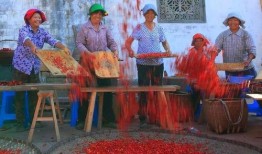 农民二龙最新爆料,农业新动向背后的惊人真相