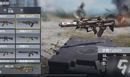 使命召唤最新武器爆料,全新武器震撼来袭，揭秘神秘爆料！