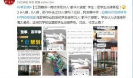 爆料视频赣州最新,揭秘城市变迁与民生发展新篇章