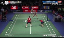 羽毛球最新爆料,神秘选手崛起，赛场风云再起